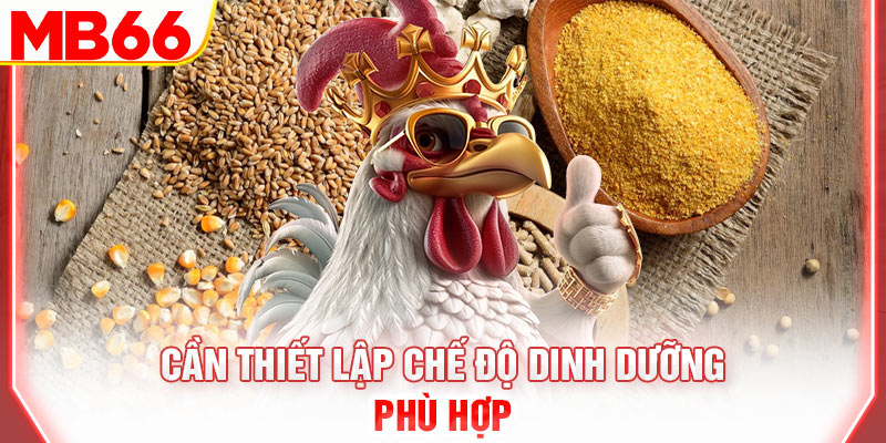 can-thiet-lap-che-do-dinh-duong-phu-hop
