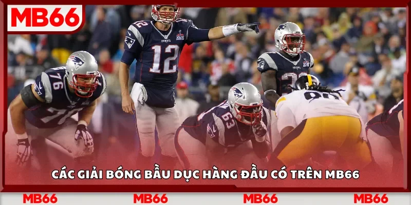 Các giải bóng bầu dục hàng đầu có trên nhà cái