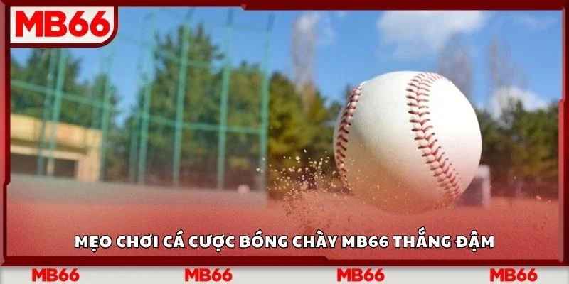 Mẹo chơi cá cược bóng chày Mb66 thắng đậm