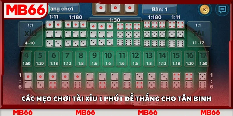 Mẹo chơi tài xỉu 1 phút dễ thắng cho tân binh