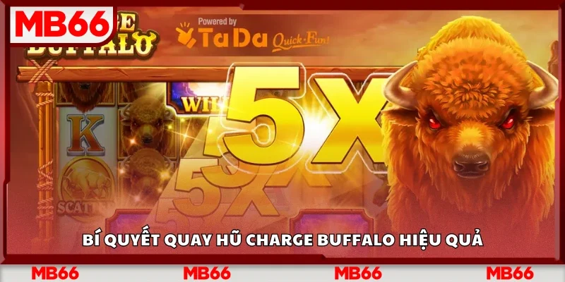 Mẹo quay hũ Charge Buffalo hiệu quả