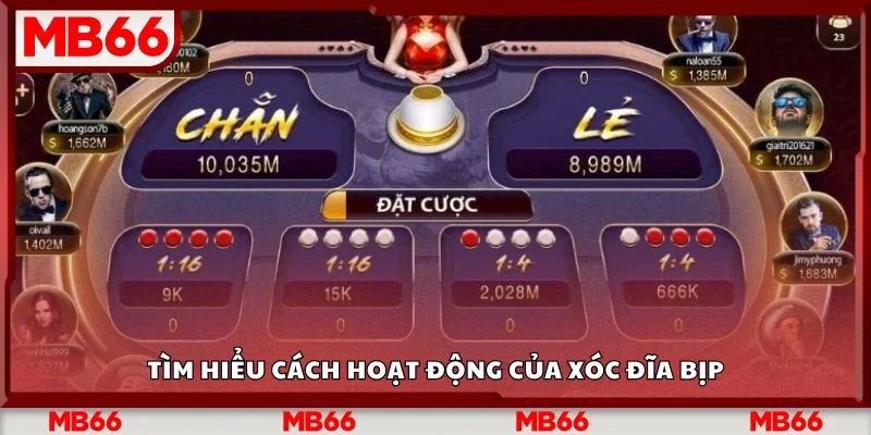 Tìm hiểu cách hoạt động của xóc đĩa bịp
