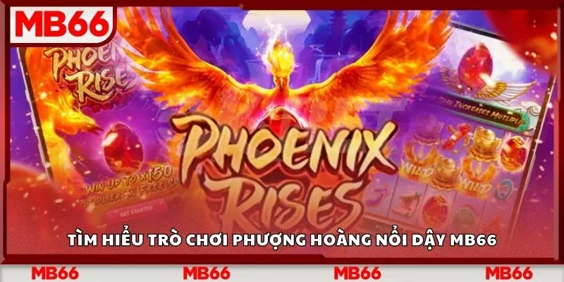 Tìm hiểu trò chơi phượng hoàng nổi dậy Mb66