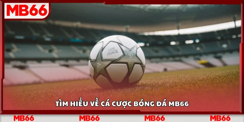 Tìm hiểu về cá cược bóng đá Mb66