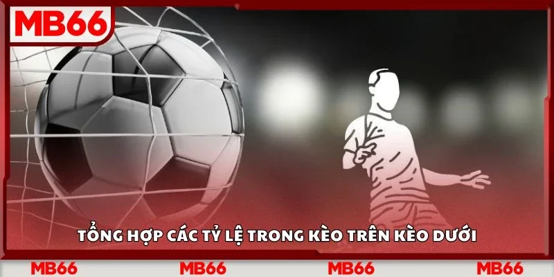 Tổng hợp các tỷ lệ trong kèo trên kèo dưới